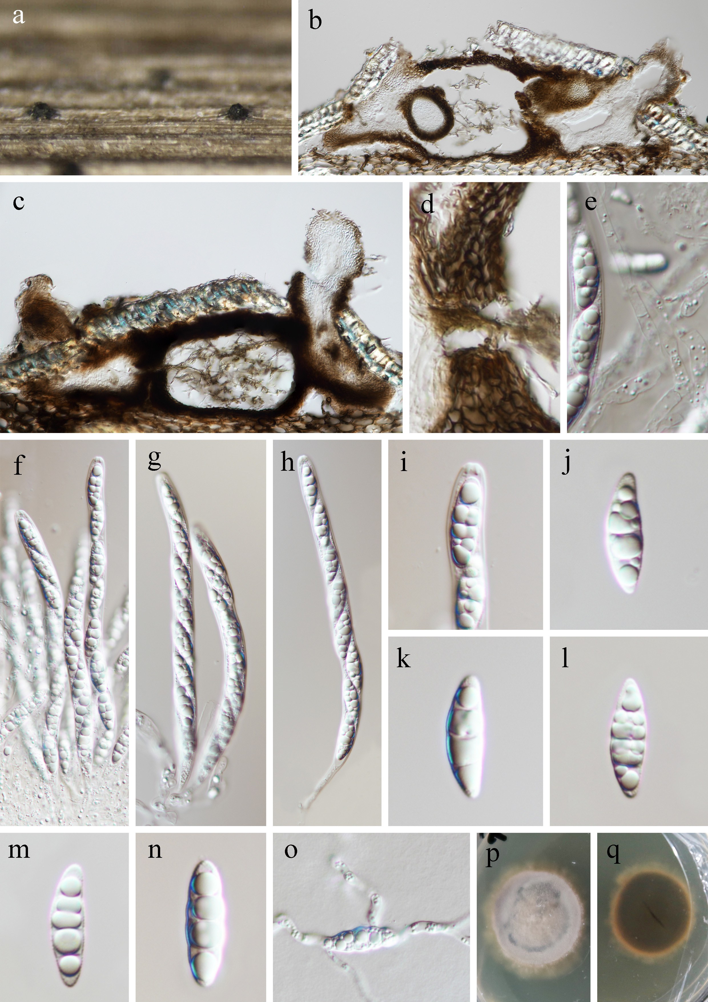 Figure 104